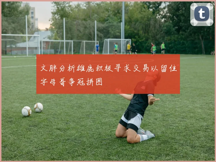 文胖分析雄鹿积极寻求交易以留住字母哥争冠拼图