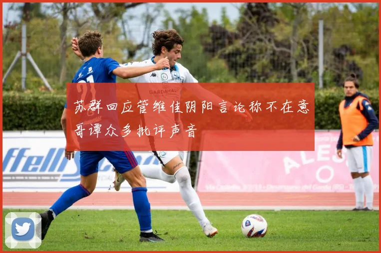 苏群回应管维佳阴阳言论称不在意哥谭众多批评声音